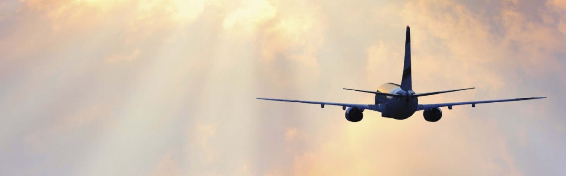 <p><strong>Blue Sky Air</strong> offers passenger and cargo services that link domestic cities in Somalia with the rest of the world.</p>
<p><a href="/page/11/introduction" class="btn btn-primary">Learn More</a></p>